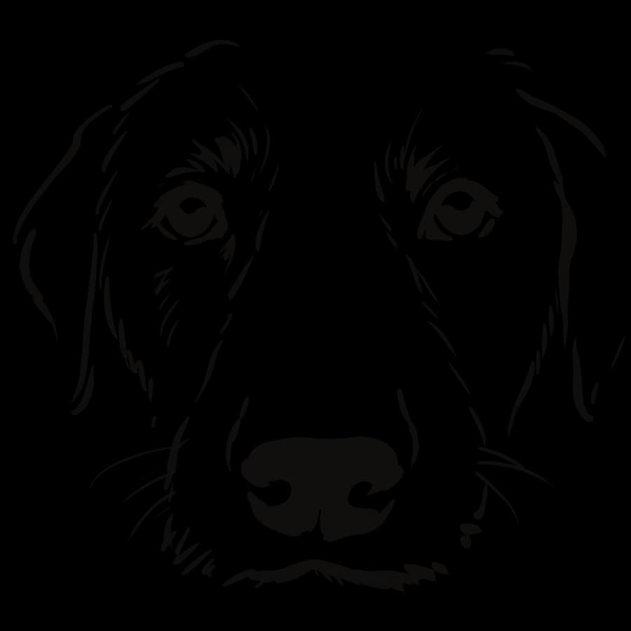 Il tratto ricavato — cane