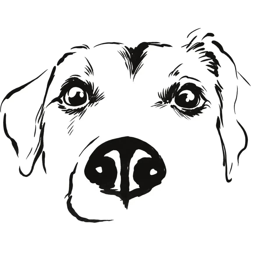 Il tratto ricavato — cane