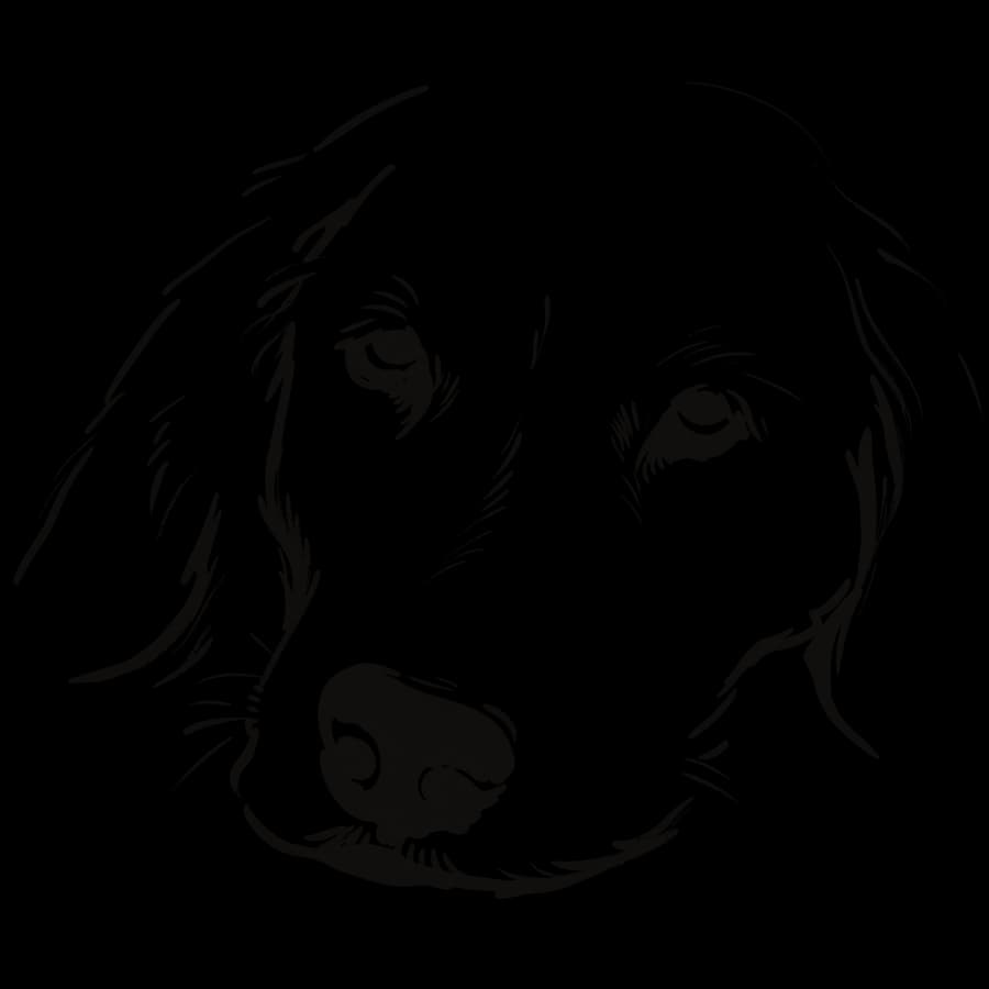 Il tratto ricavato — cane