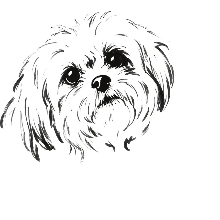 Il tratto ricavato — cane
