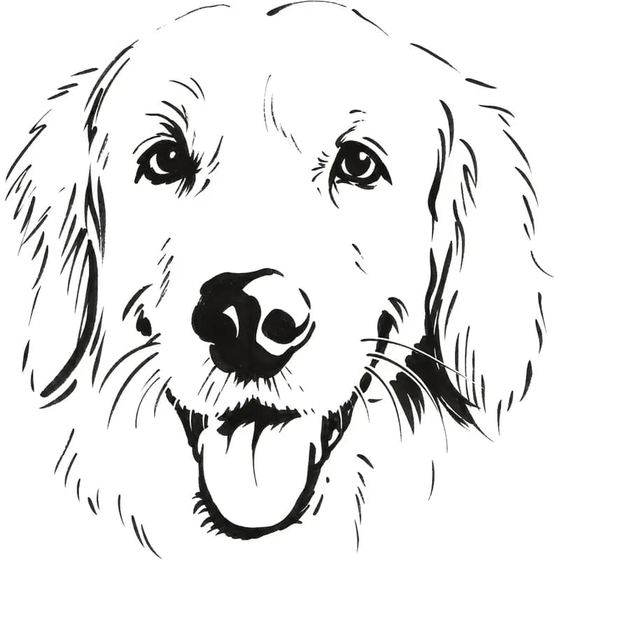 Il tratto ricavato — cane