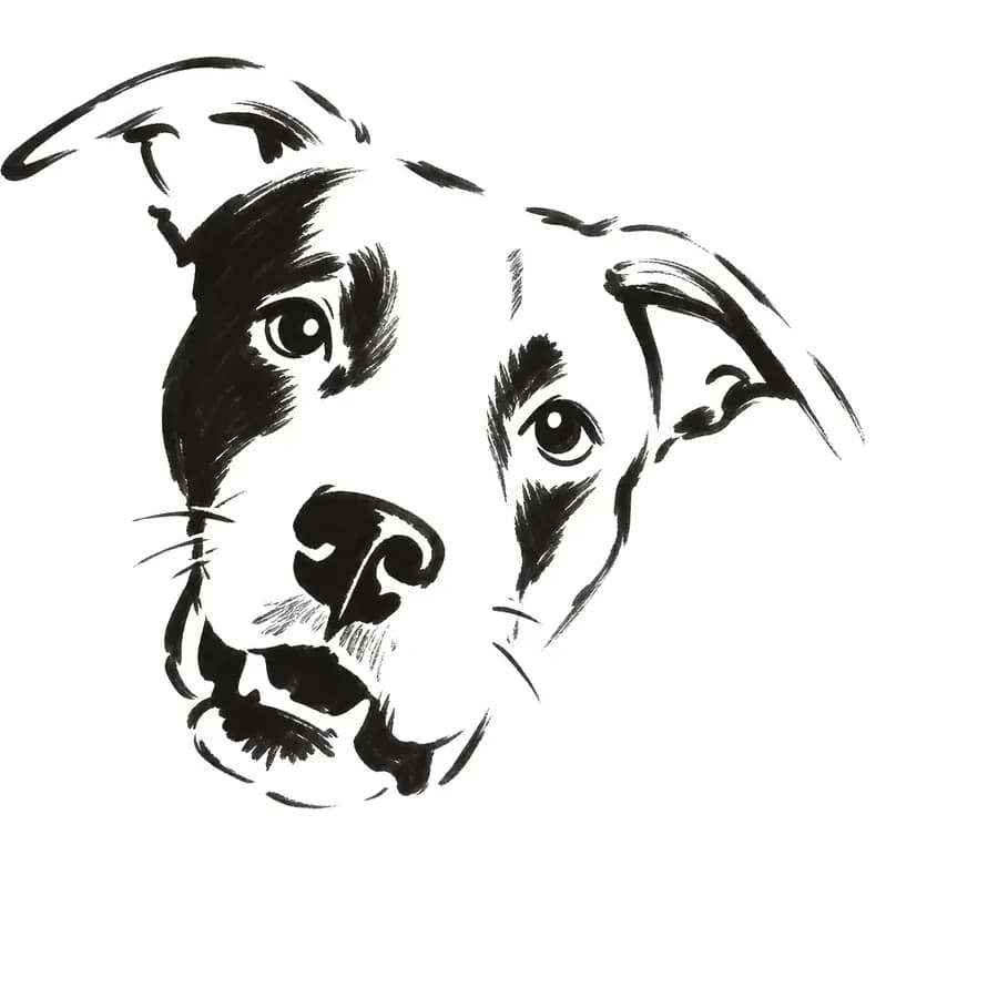 Il tratto ricavato — cane