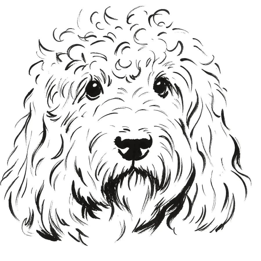 Il tratto ricavato — cane