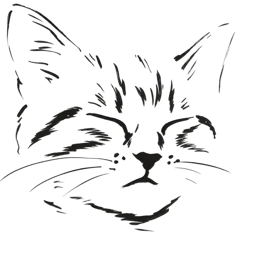 Il tratto ricavato — gatto