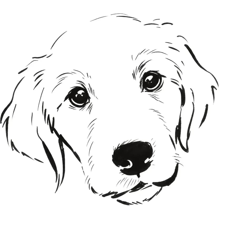 Il tratto ricavato — cane