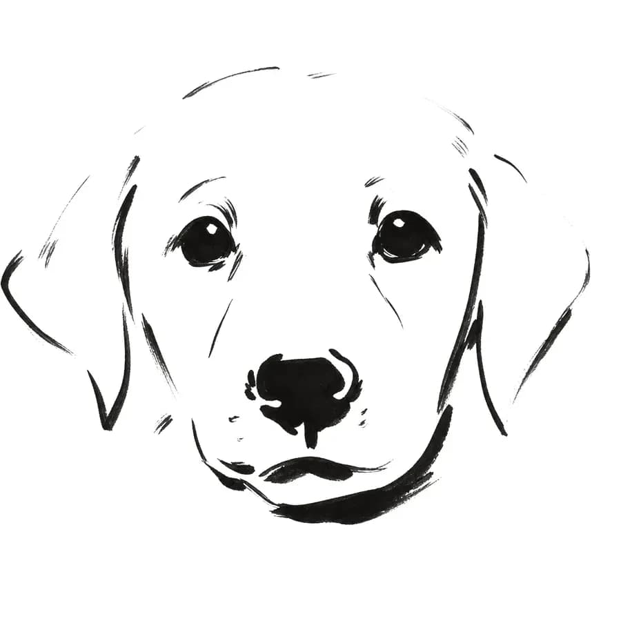Il tratto ricavato — cane