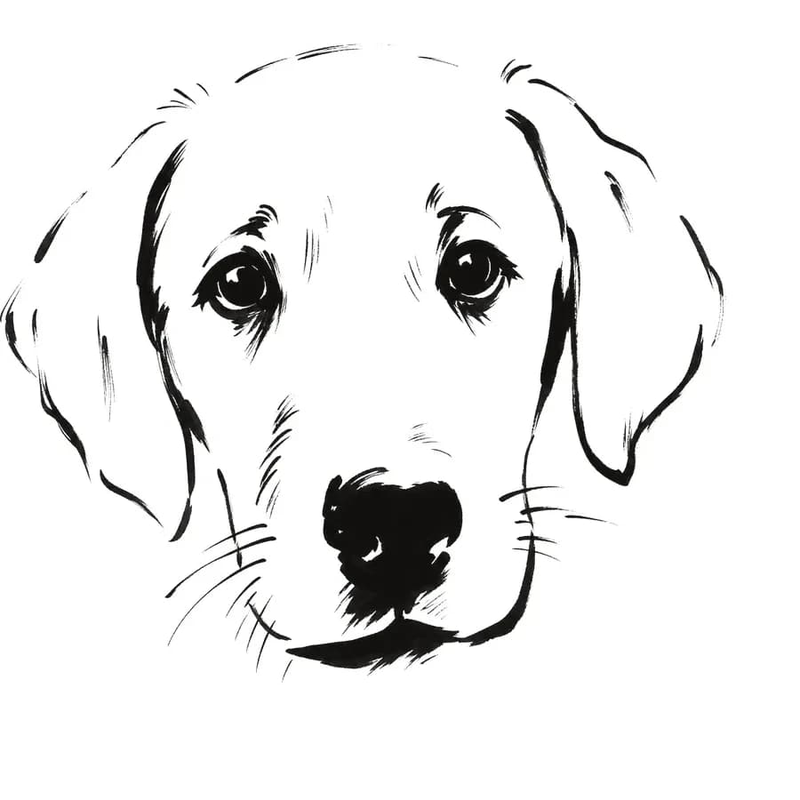 Il tratto ricavato — cane
