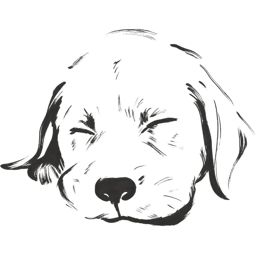 Il tratto ricavato — cane