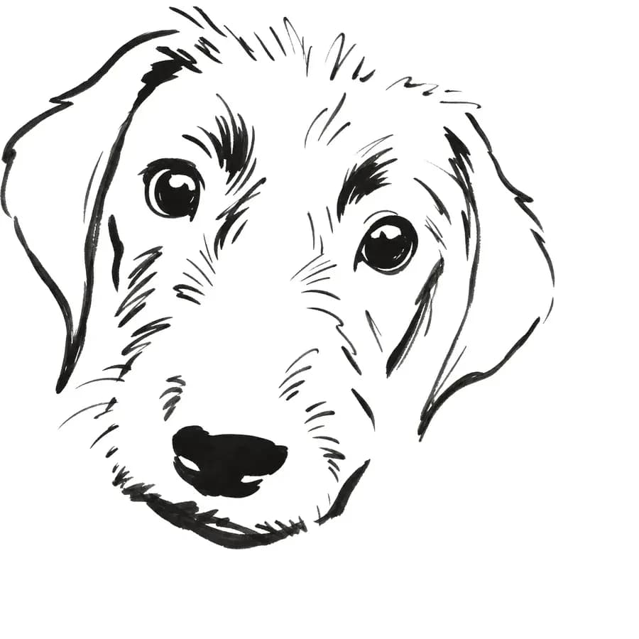 Il tratto ricavato — cane