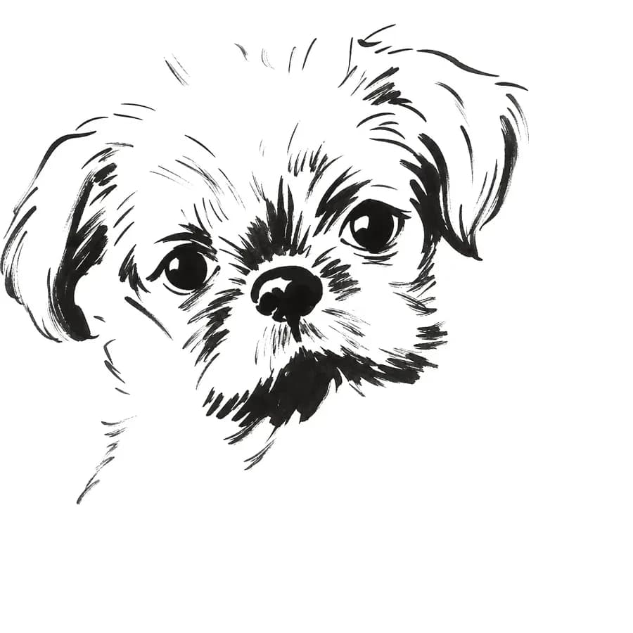Il tratto ricavato — cane
